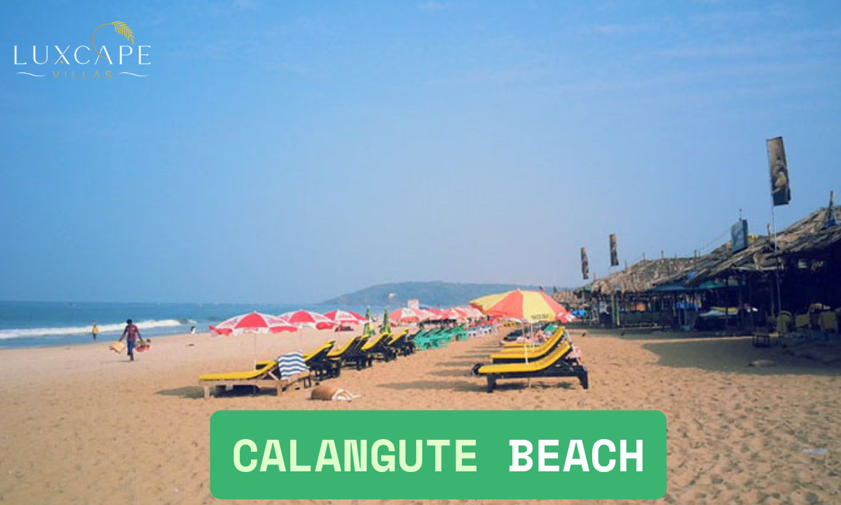 Calangute Beach