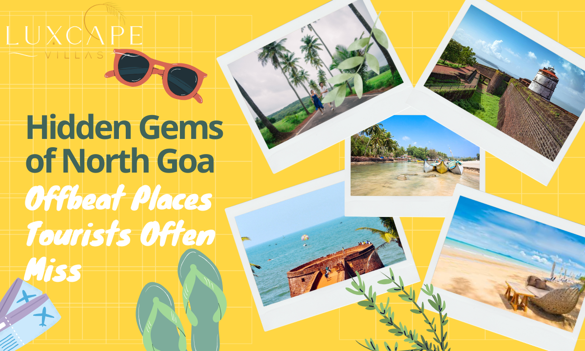 Uncovering the Offbeat Tourist Spots in North Goa That're Hard to Miss